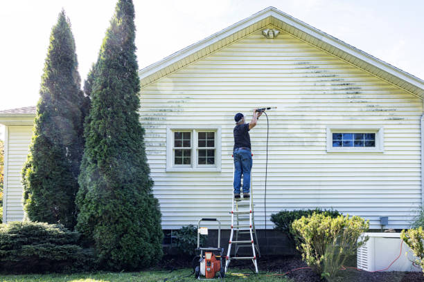 Best Exterior Home Cleaning  in Salem, IN